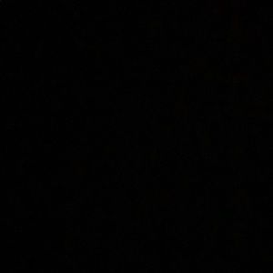 Meet your Posher, Maya